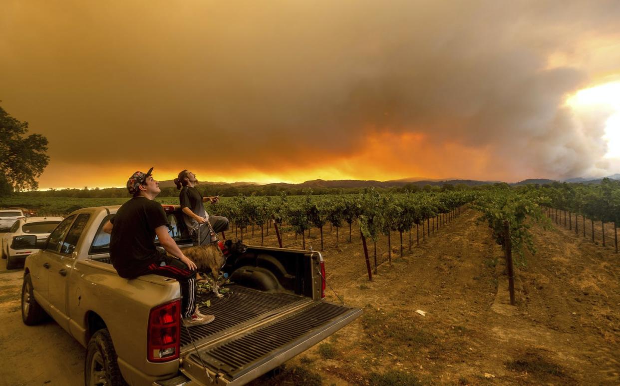 <span class="caption">Smoke from the wildfires taints wine grapes, giving wine an ashy taste. </span> <span class="attribution"><span class="source">(AP Photo/Noah Berger) </span></span>