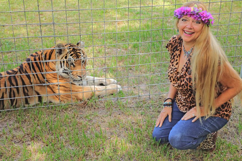 Carole Baskin poses with one of the rescued tigers at her Tampa area sanctuary, Big Cat Rescue.