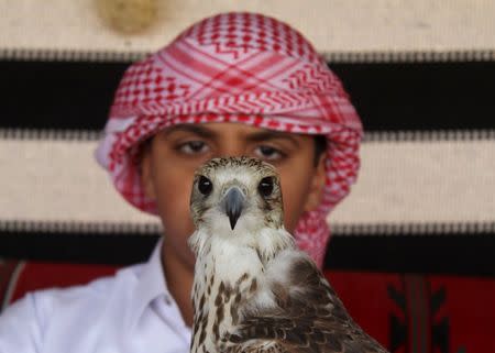 A boy holds a falcon during Qatar International Falcons and Hunting Festival at Sealine desert, Qatar January 29, 2016. REUTERS/Naseem Zeitoon