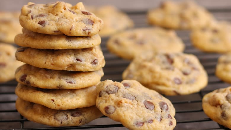 chocolate chip cookies