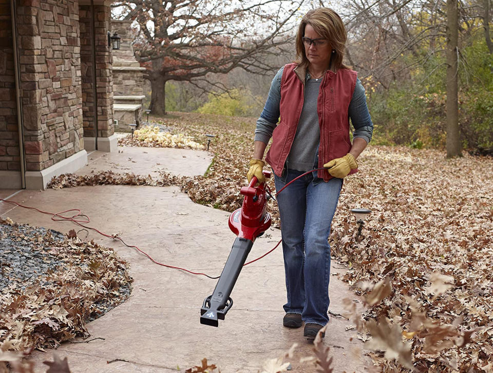 Toro UltraPlus leaf blower