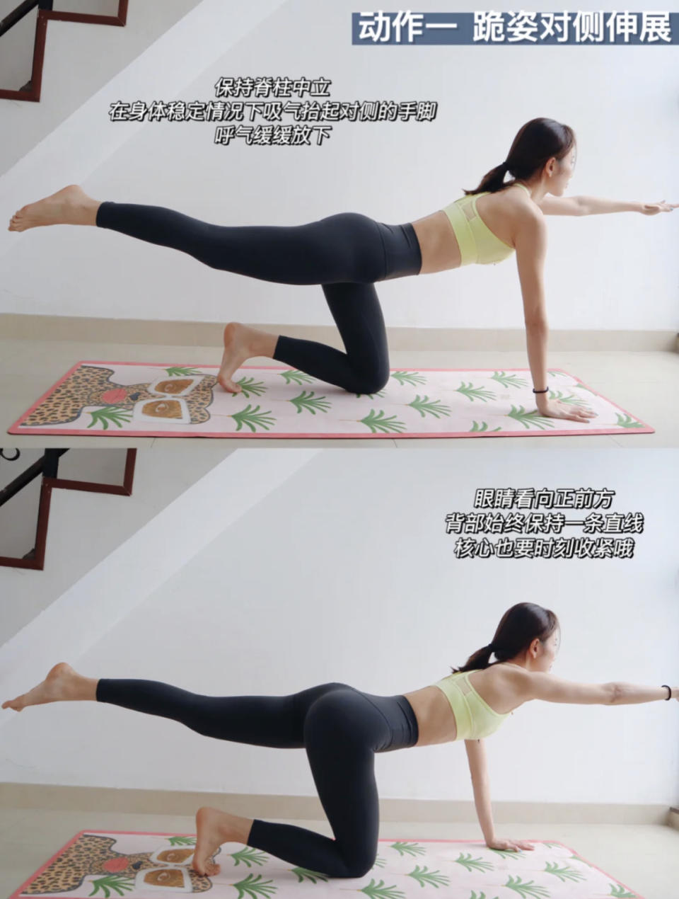快速瘦肚子運動：跪姿對側伸展（圖片來源：小紅書斯文姐）