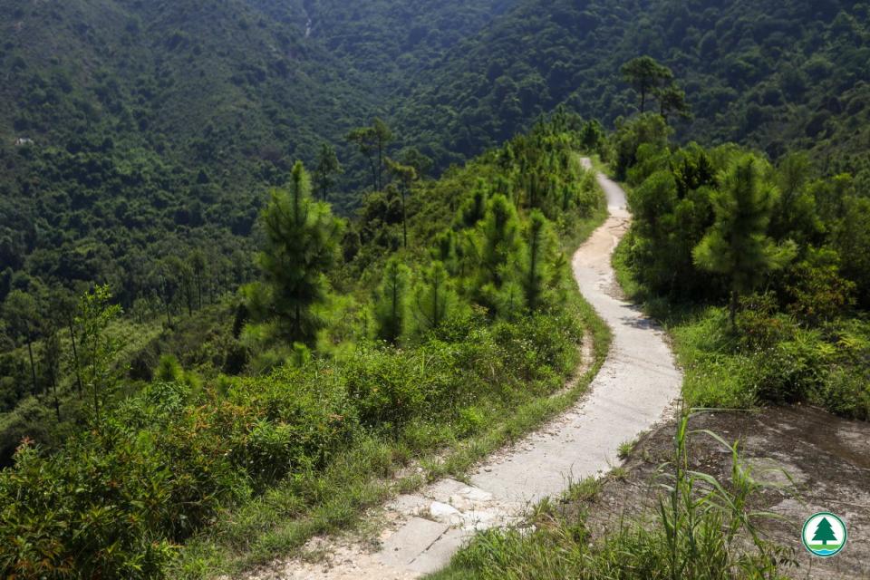 兩小時快閃虎地郊遊徑 終點為藍地灌溉水塘