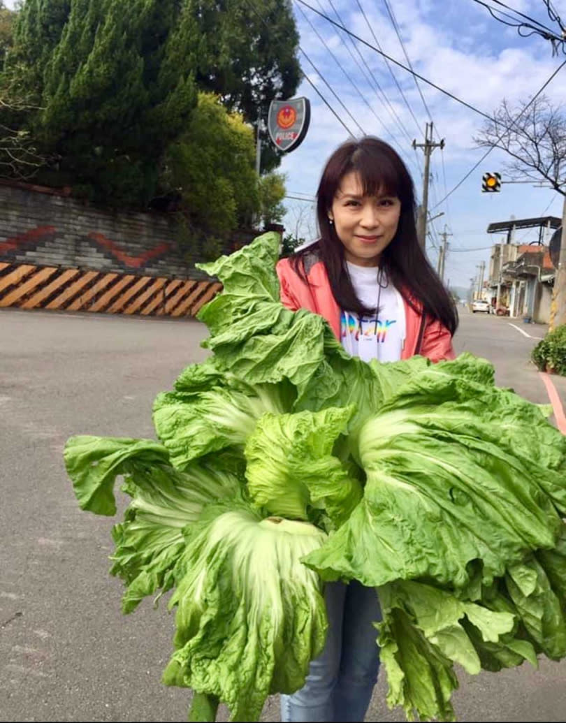 周子寒把自家陽台改造成開心農場。（圖／藝起發光提供）