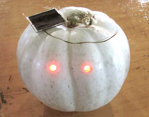 Solar-Powered Pumpkin