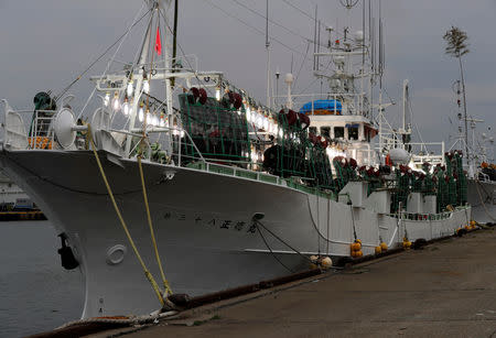 Lamps used for squid fishing are seen on during a test operation on the squid fishing ship Shotoku-Maru No. 38 at a port in Sakata, Yamagata prefecture, Japan June 5, 2018. Picture taken June 5, 2018. REUTERS/Issei Kato