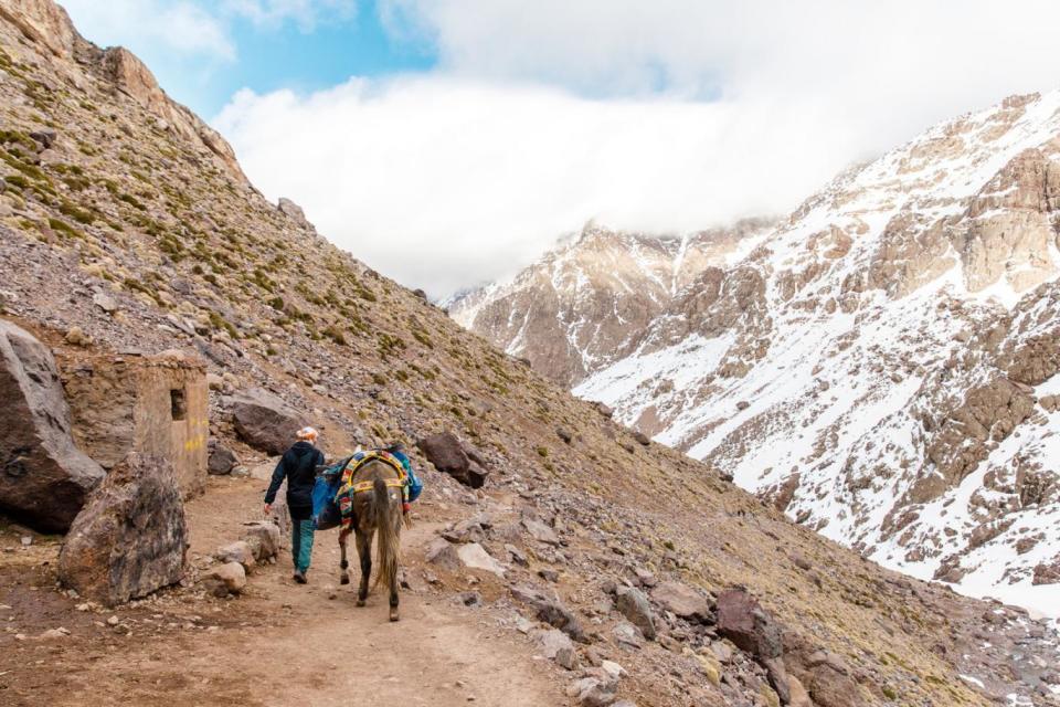 Guides take food and drink up the mountain for guests (MuchBetterAdventures)