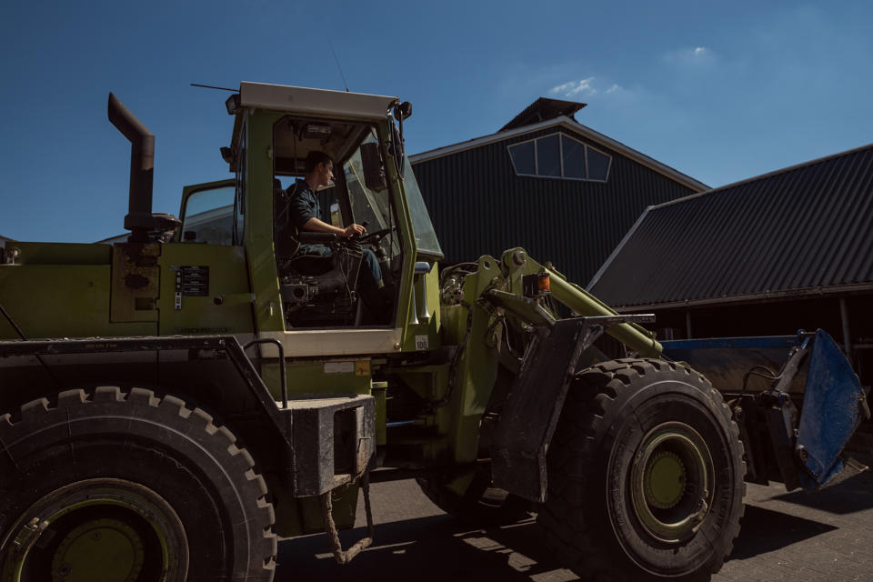 A worker at a farm in the village of Aalten, in the east of the Netherlands near the German border. (Alexey Yurenev for NBC News)