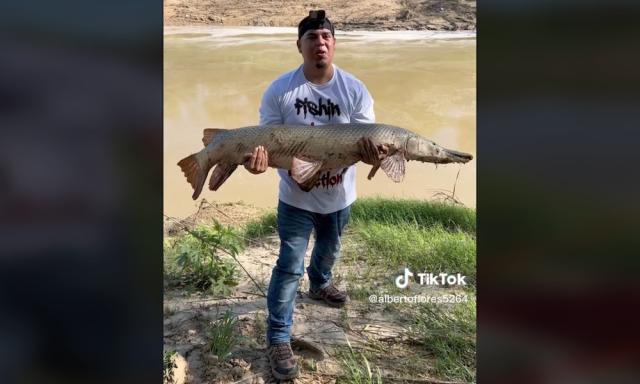 river monster fishing rod｜TikTok Search