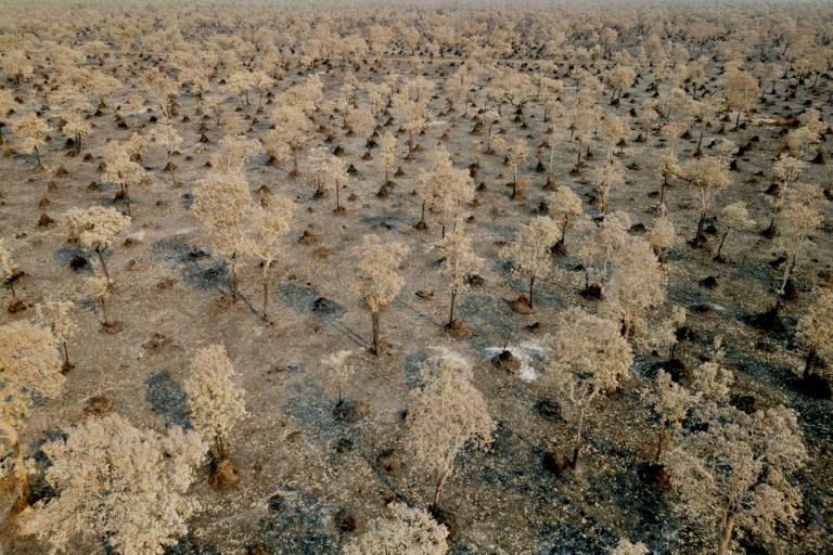 Aerial view of a fire-affected area in Brazil's Pantanal (Pablo PORCIUNCULA)