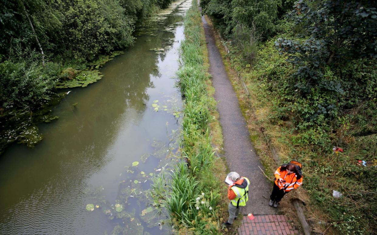 Workers monitor the impact on wildlife at the canal following the toxic spill