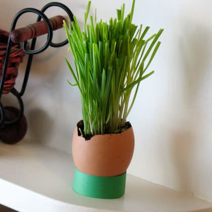 Egghead Eggshell Planter