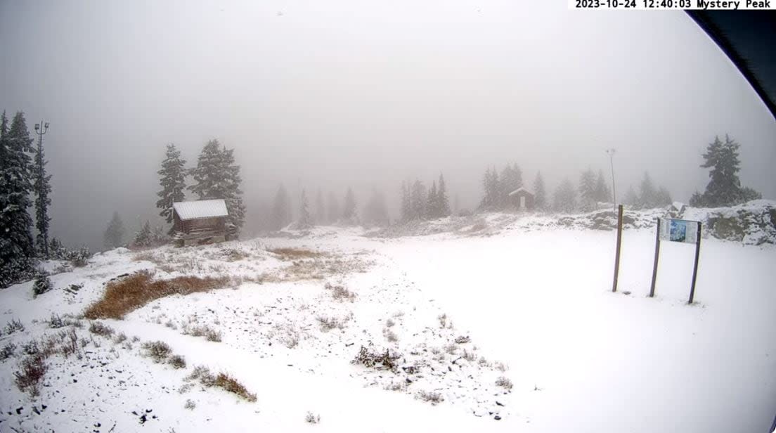 Snow was falling on Mount Seymour around noon Tuesday, as captured by the Mystery Peak snow cam.  (Mount Seymour - image credit)