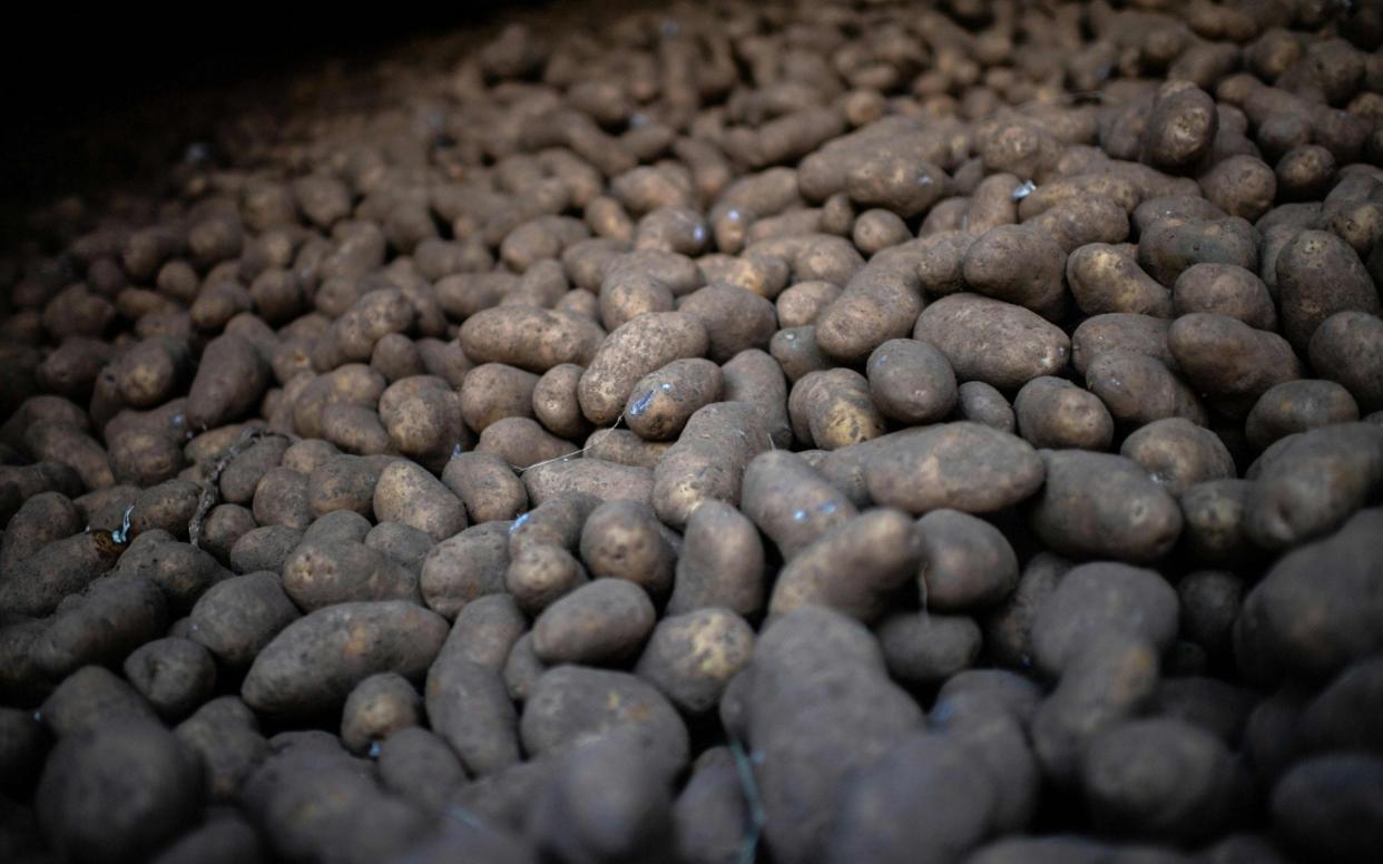 We are facing another potato shortage - AFP