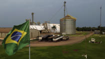 A Brazilian flag flies at a grain logistics and storage company in Sidrolandia, Mato Grosso do Sul state, Brazil, Thursday, Oct. 20, 2022. President Jair Bolsonaro trusts his support among agribusiness leaders to help him win reelection later this month, while frontrunner Brazil's Former President Luiz Inacio Lula da Silva tries to make inroads with rural voters with a boost from defeated presidential candidate Sen. Simone Tebet, who is from the state of Mato Grosso do Sul. (AP Photo/Eraldo Peres)