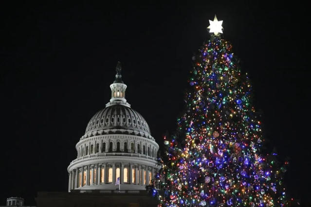 Estos son los árboles de Navidad más altos del mundo (y 2 están en