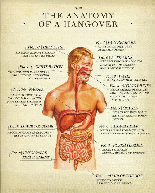 DIY Hangover Cures