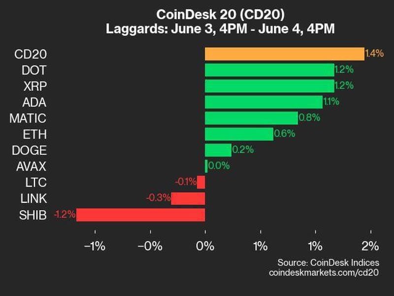 CoinDesk 20 laggards (CoinDesk)