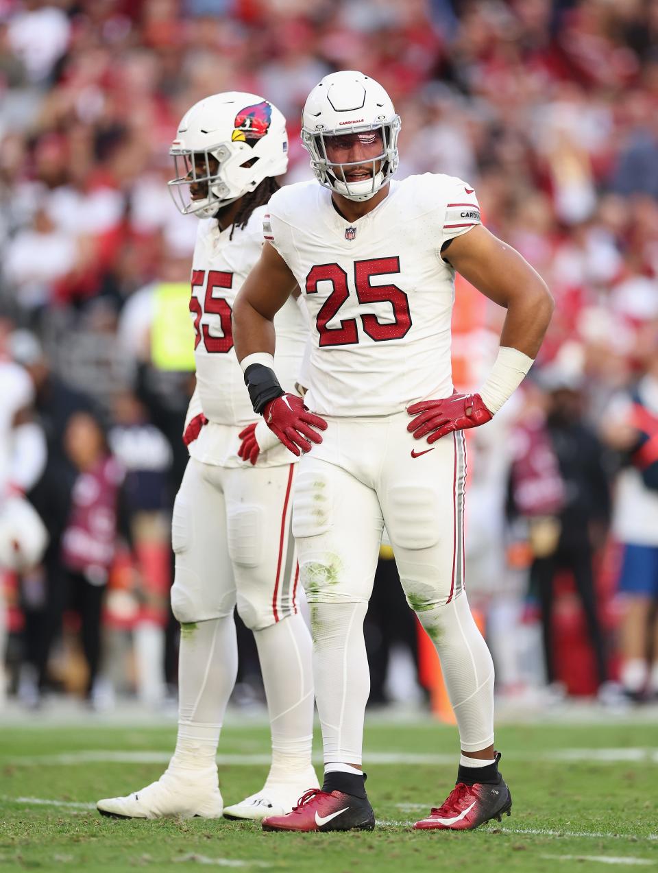 Linebacker Zaven Collins #25 of the Arizona Cardinals during the NFL game at State Farm Stadium on December 17, 2023 in Glendale, Arizona. The 49ers defeated the Cardinals 45-29.