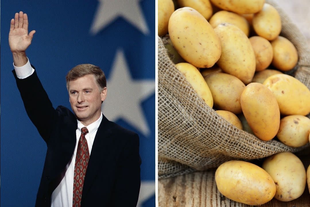 Composite: Dan Quayle and sack of potatoes