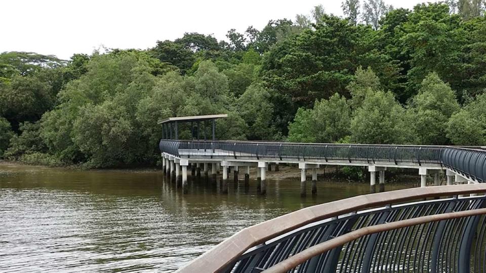 best hiking trail in singapore - sungei buloh nature reserve