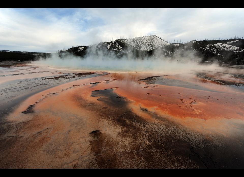 View of the 'Grand Prismatic' hot spring with it's unique colors caused by brown, orange and yellow algae-like bacteria called Thermophiles, that thrive in the cooling water turning the vivid aqua-blue to a murkier greenish brown, in the Yellowstone National Park, Wyoming on June 1, 2011. (Mark Ralston, AFP / Getty Images)