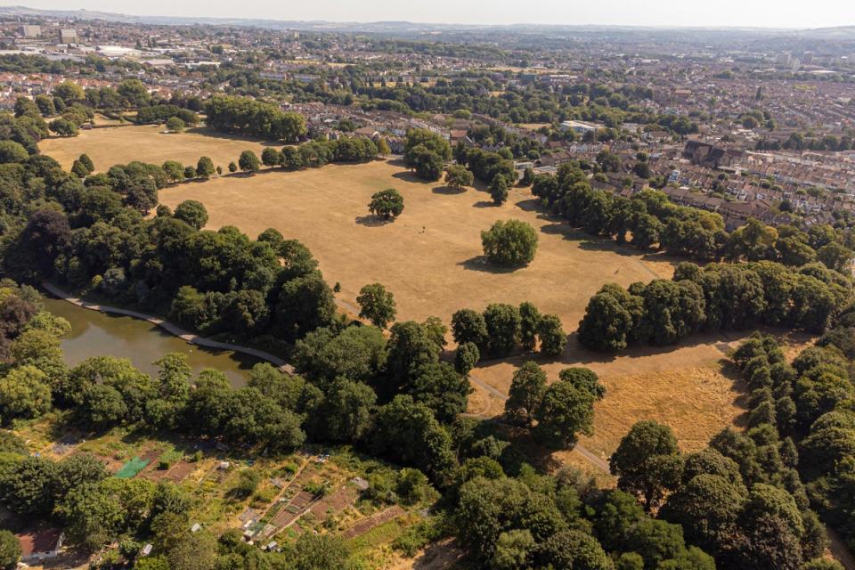 13 August 2022: Dry grass in Eastville Park, Bristol. The Met Office has issued an amber warning for extreme heat covering four days from Thursday to Sunday for parts of England and Wales (PA)