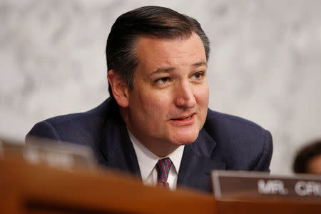 Senator Ted Cruz (R-TX) questions Supreme Court nominee judge Neil Gorsuch during his Senate Judiciary Committee confirmation hearing on Capitol Hill in Washington March 21, 2017. REUTERS/Joshua Roberts