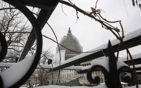 The U.S. Capitol building is seen through a snow covered trellis at the start of the 114th Congress on the Capitol grounds in Washington January 6, 2015. REUTERS/Jim Bourg