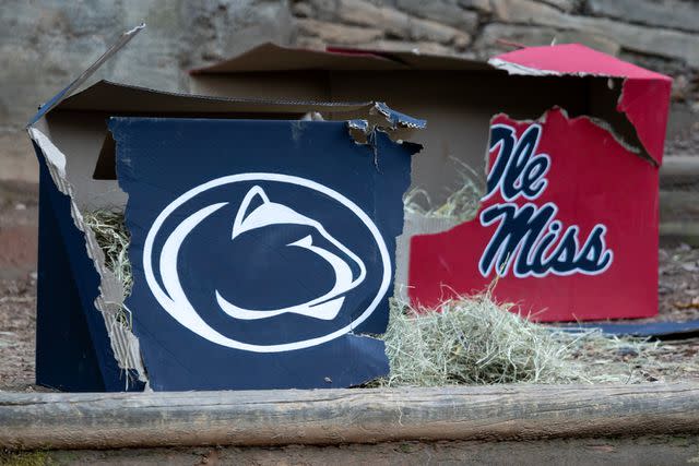 <p>Zoo Atlanta</p> The two boxes that Yang Yang used to predict the Peach Bowl