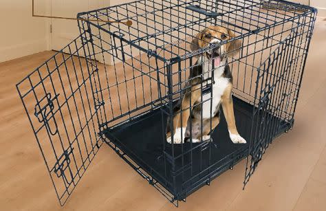 There's 24% off this medium sized dog crate