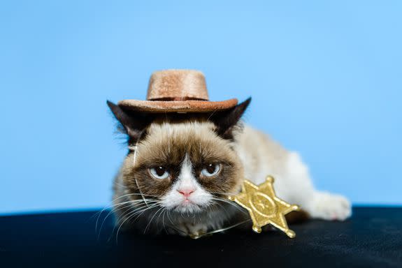 The internet's only big enough for one grumpy cat.