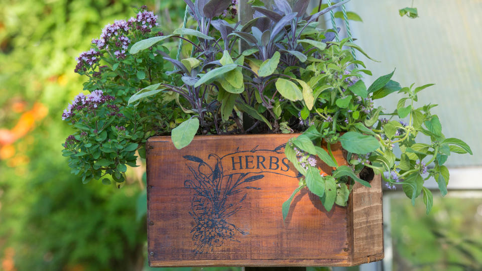 Take your pick from these herb garden ideas and you'll always have a fragrant collection of culinary delights to choose from