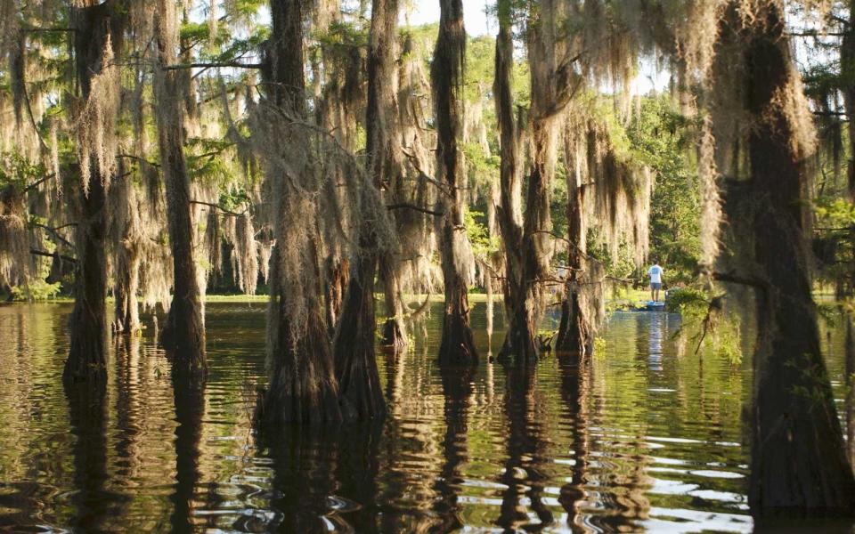 Louisiana — Lake Bistineau State Park