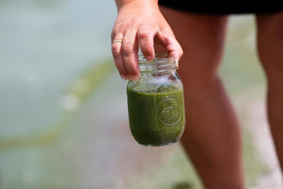 Water collected from Lake Erie in August 2014.