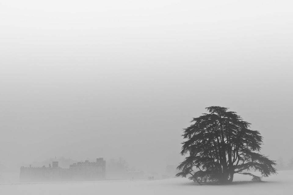 White Out (Leeds Castle), Kent