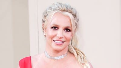 Britney Spears Family Members A Comprehensive Guide