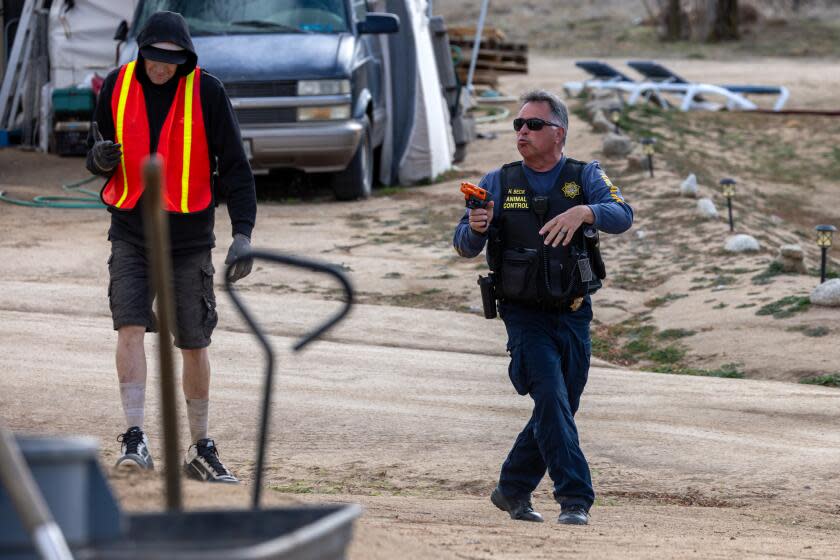 AGUANGA, CA - DECEMBER 20: Riverside animal control officer Harvey Beck, right, pointing a pepper spray gun, orders an uncooperative man to stay in his trailer till law enforcement arrives. Officer Beck was attending a call of unleashed dogs belonging to the man have allegedly mauled neighbors dog in Bradford Run RV park on Wednesday, Dec. 20, 2023 in Aguanga, CA. (Irfan Khan / Los Angeles Times)