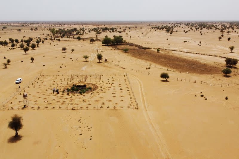The Wider Image: Senegalese plant circular gardens in Green Wall defence against desert