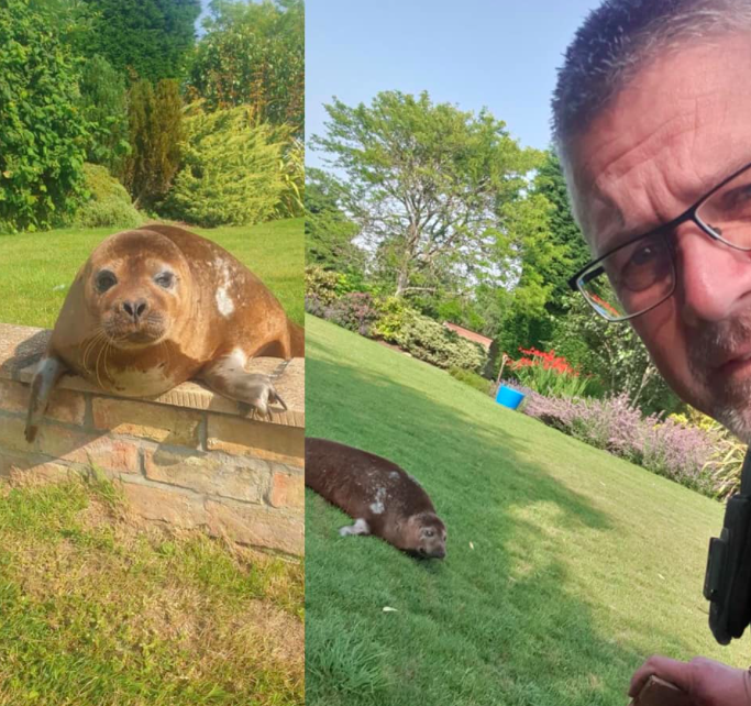 Dandy the seal was discovered lounging in the garden of a shocked homeowner. (Sleaford Police)