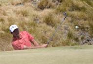 Jun 21, 2015; University Place, WA, USA; Sam Saunders chips onto the 17th green in the final round of the 2015 U.S. Open golf tournament at Chambers Bay. Kyle Terada-USA TODAY Sports