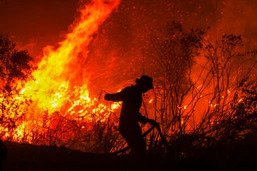 Indonesia suffers forest fires annually but this year's appear to be the worst since 2015