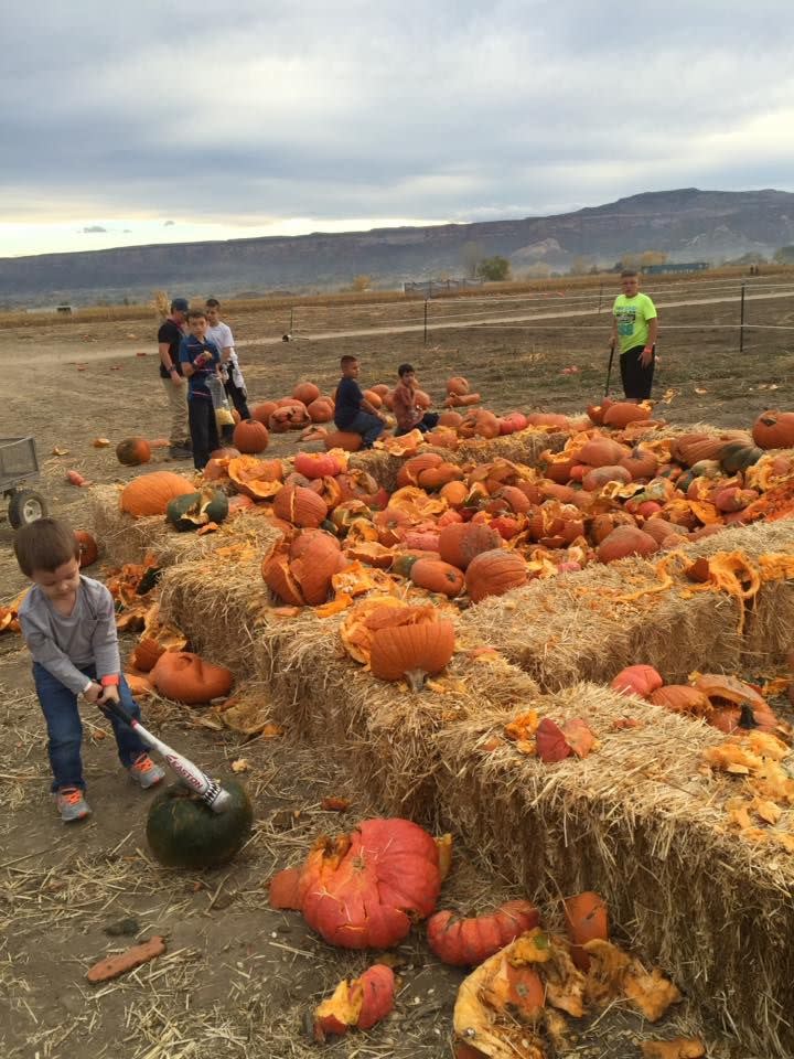 17) Studt’s Pumpkin Patch in Grand Junction, CO