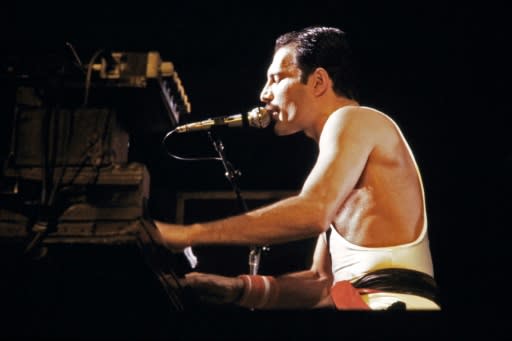 Queen legend Freddie Mercury shown here during a concert in Paris in 1984