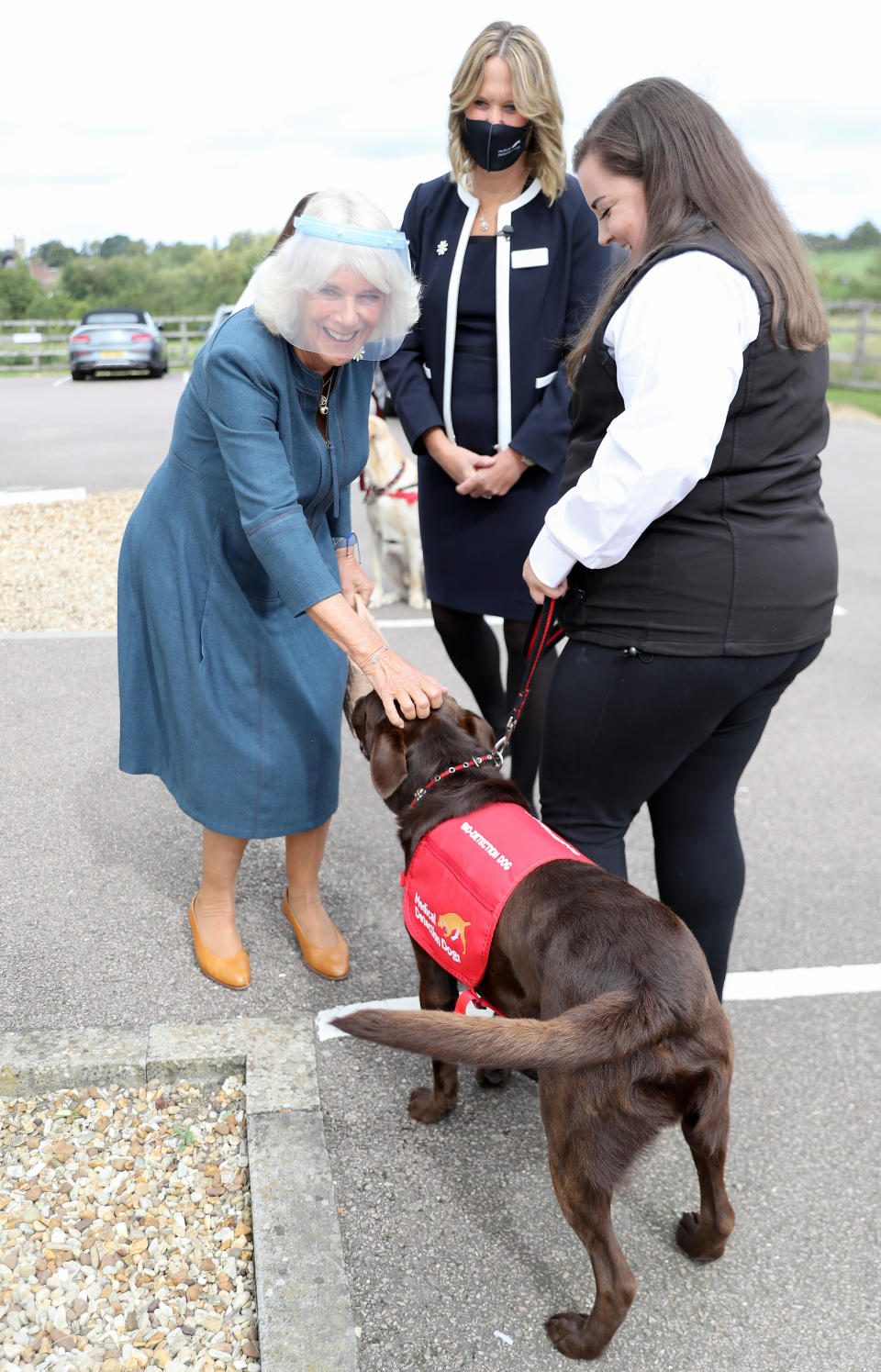 The Duchess of Cornwall meets Basil, a chocolate-coloured Labrador, during her visit to the Medical Detection Dogs charity's training centre in Milton Keynes, where trials are currently underway to determine whether dogs can act as a diagnostic tool of COVID-19.