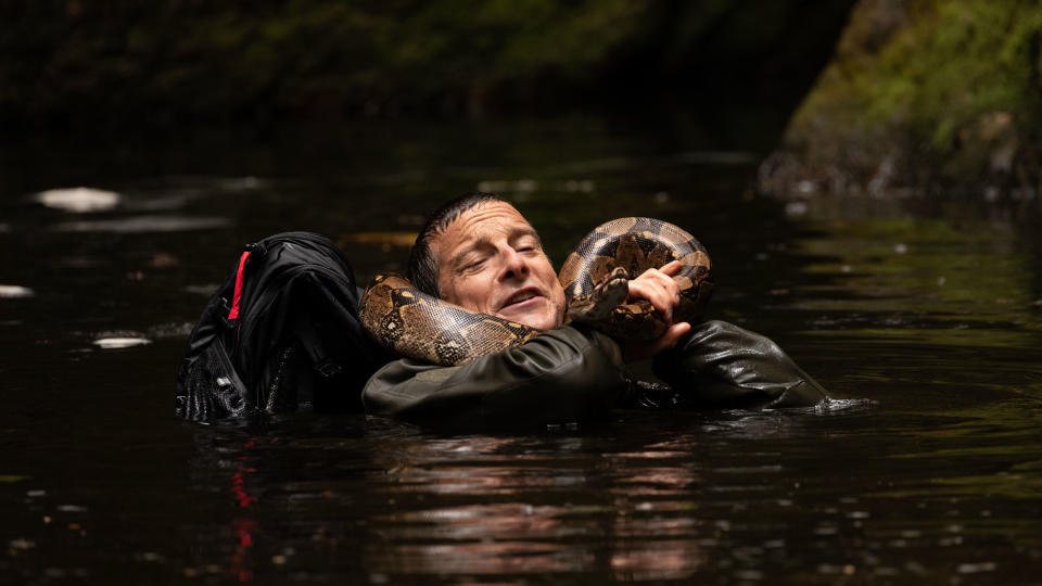 Bear Grylls got up close and personal with a boa constrictor while filming 'Animals on the Loose: A You vs. Wild Movie' in South Africa. (Credit: Duane Howard/Netflix)