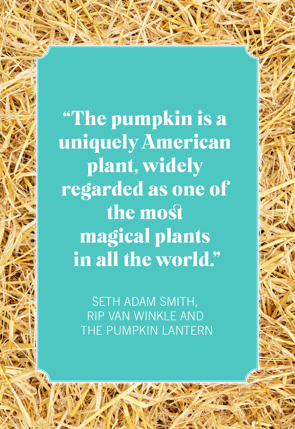 best pumpkin quotes