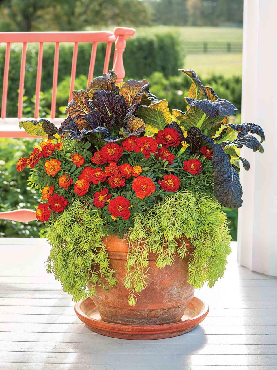 Stunning Marigold Fall Container