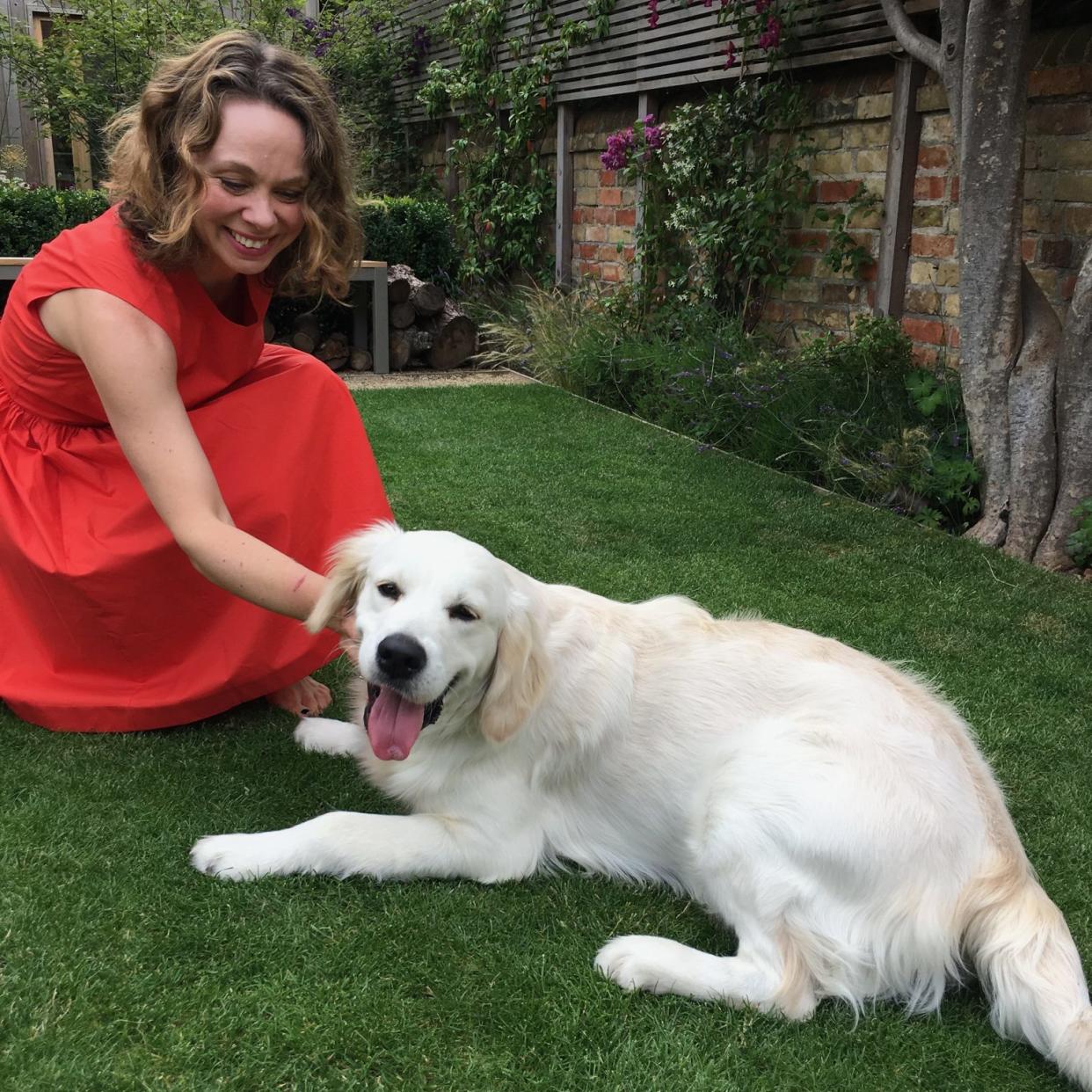 After a brush with strays in the past, golden retriever Harry has cured writer Eve Chase’s phobia