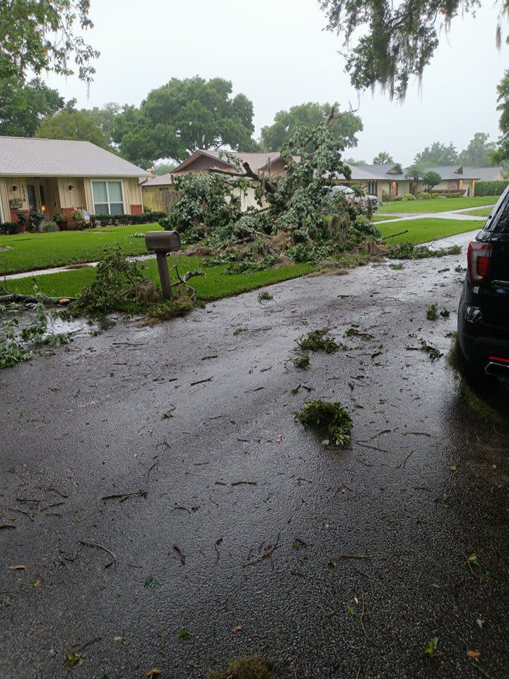 Severe weather caused a large tree to fall down in a south Orlando neighborhood.